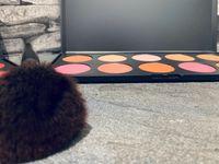 7276AE7F-3C62-4C46-B478-73EDD8DFD2C5